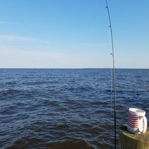 Meet your Posher, Rick